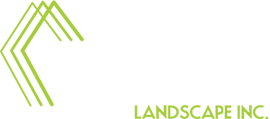 Bemus Landscape