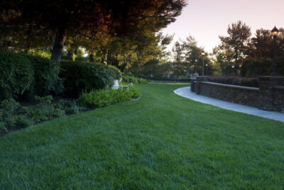 One Ford Road - Newport Beach, CA - Landscape Management - Bemus Landscape - Southern California