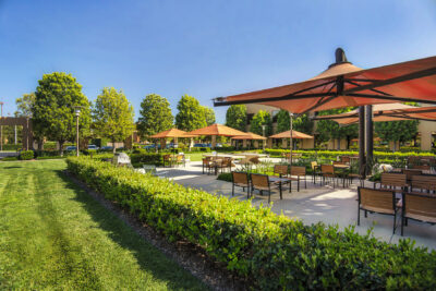 Commercial Business Park - Irvine, CA - Landscape Management - Bemus Landscape - Southern California