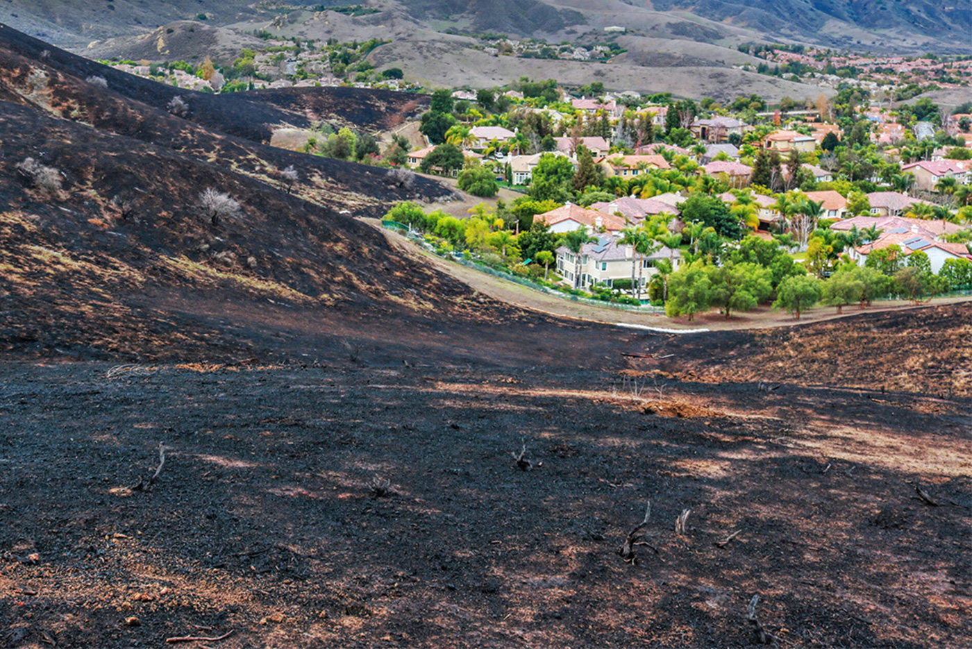 Brush Management and Erosion Control - Bemus Landscape - Southern California