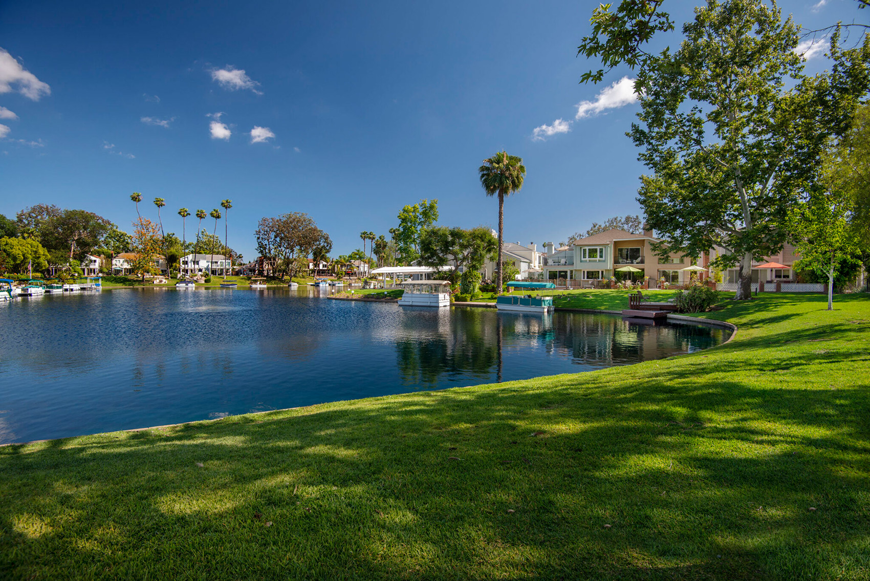 Forest Near The Lake - Landscape Management - Bemus Landscape - Southern California