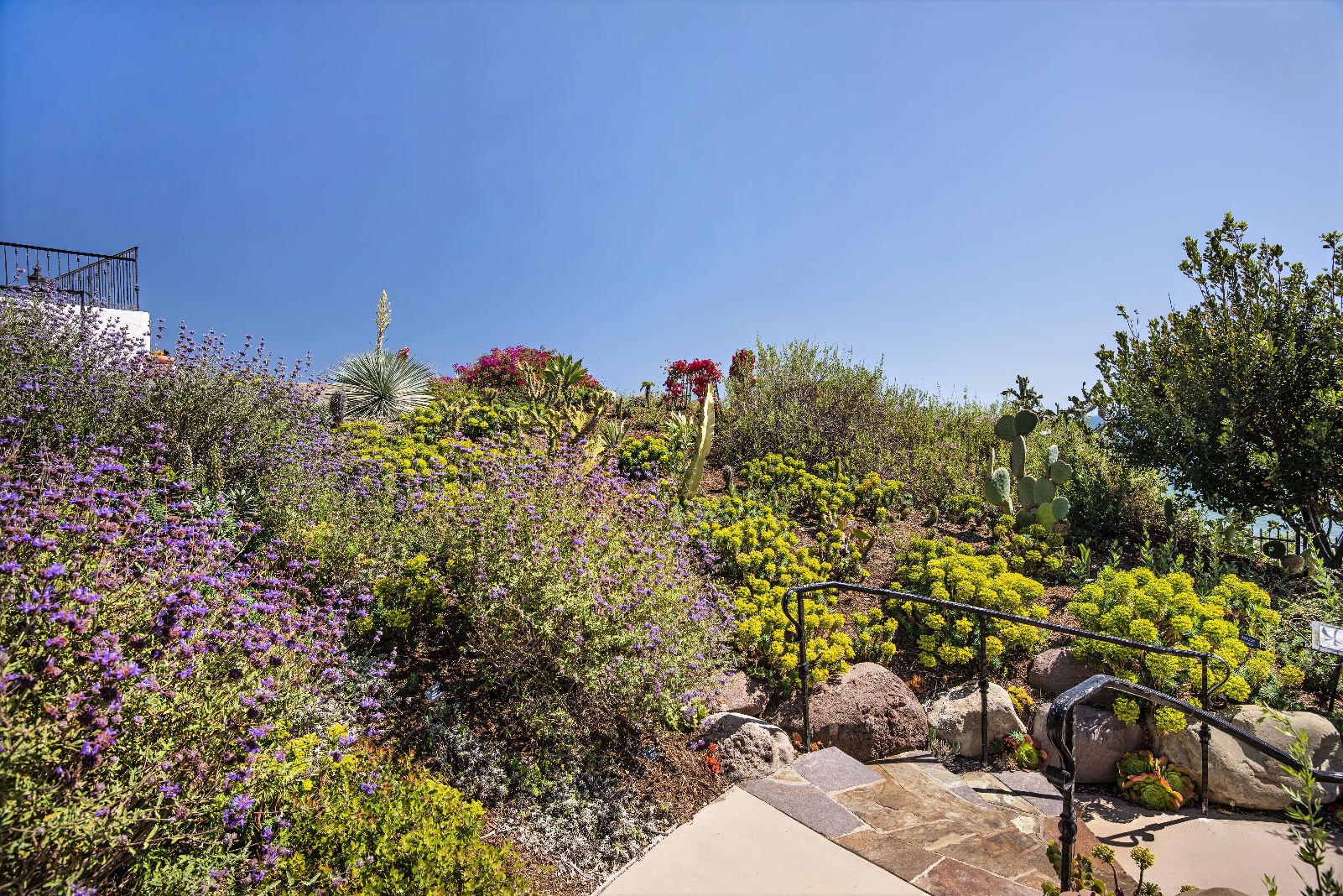 Casa Romantica Cultural Center and Gardens - Bemus Landscape - San Clemente, CA