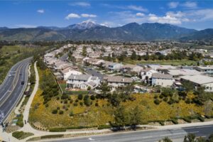 Chapman Heights - A Bemus Landscape project - Bemus Landscape - San Clemente, CA