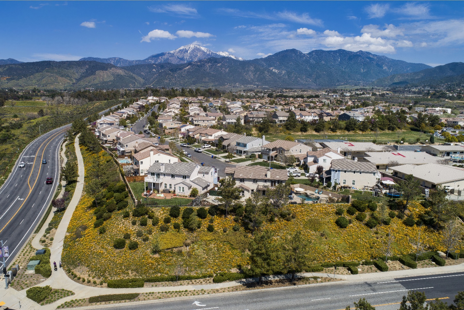 Chapman Heights - A Bemus Landscape project - Bemus Landscape - San Clemente, CA