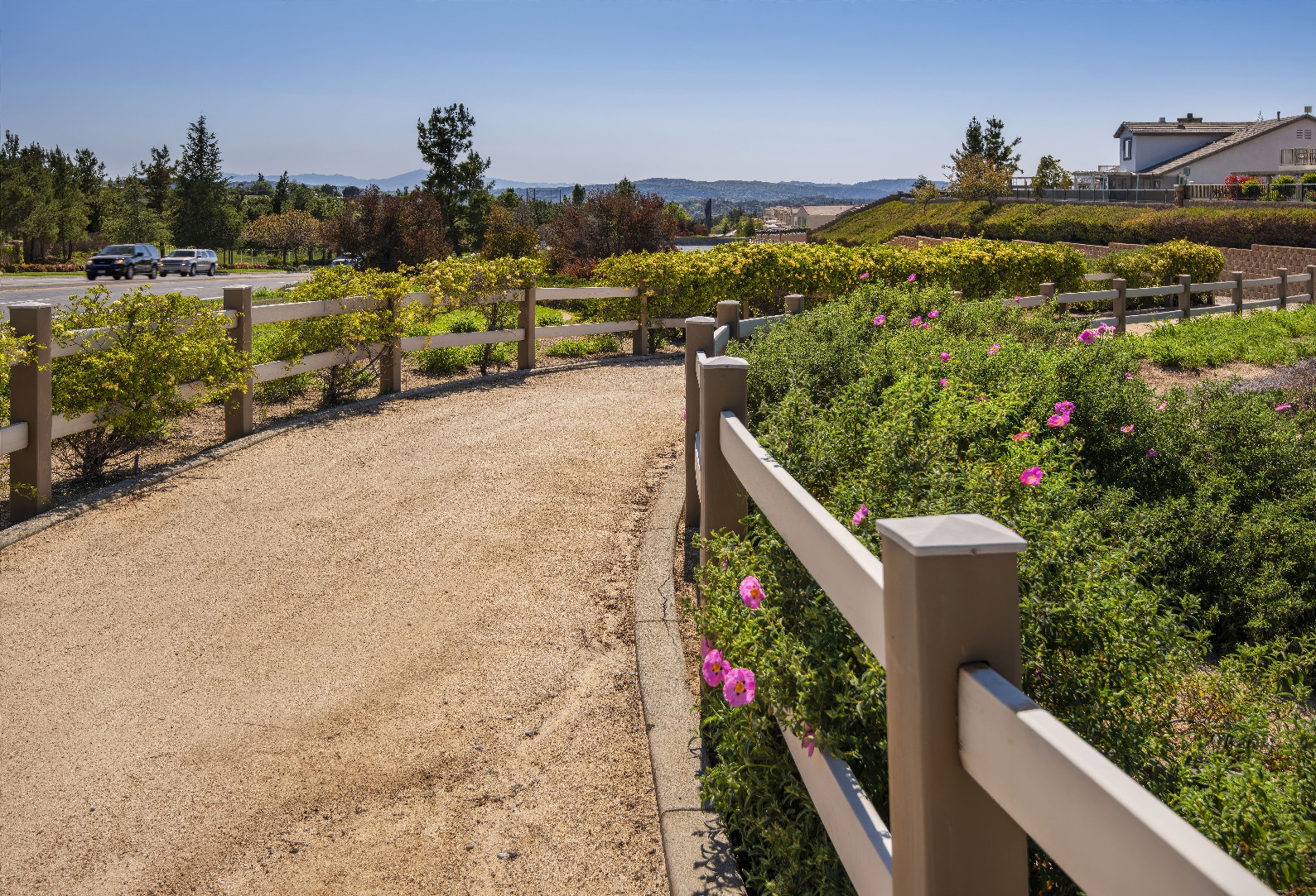 Chapman Heights - A Bemus Landscape project - Bemus Landscape - San Clemente, CA