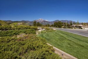 Chapman Heights - A Bemus Landscape project - Bemus Landscape - San Clemente, CA