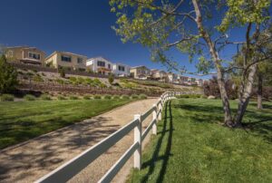 Chapman Heights - A Bemus Landscape project - Bemus Landscape - San Clemente, CA