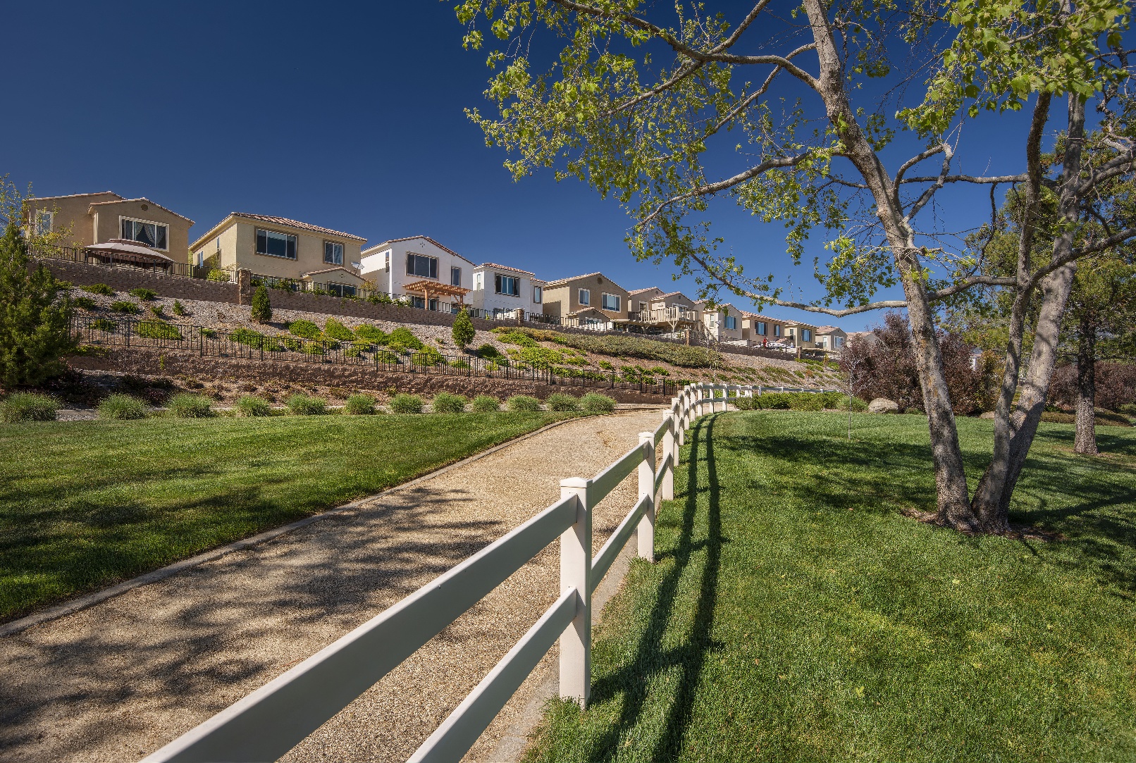 Chapman Heights - A Bemus Landscape project - Bemus Landscape - San Clemente, CA