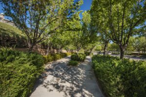 Chapman Heights - A Bemus Landscape project - Bemus Landscape - San Clemente, CA