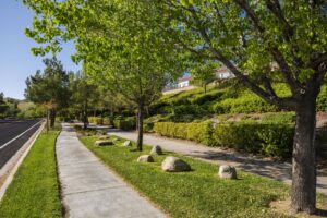Chapman Heights - A Bemus Landscape project - Bemus Landscape - San Clemente, CA