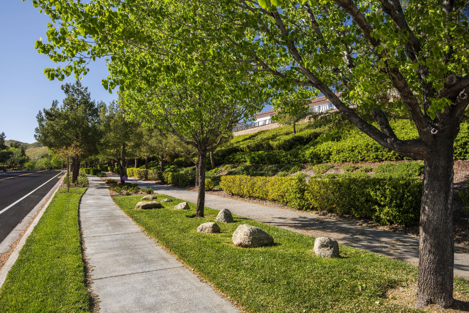 Chapman Heights - A Bemus Landscape project - Bemus Landscape - San Clemente, CA