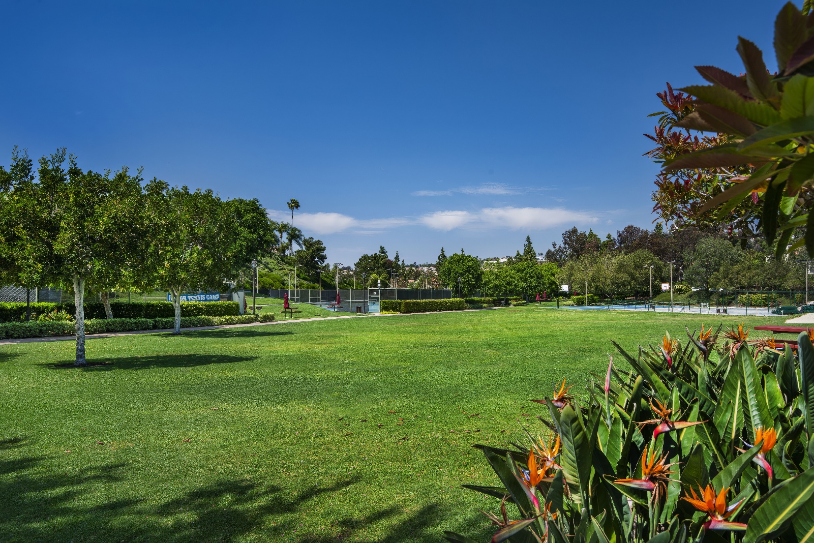 Ranho Niguel - A Bemus Landscape project - Bemus Landscape, San Clemente, CA