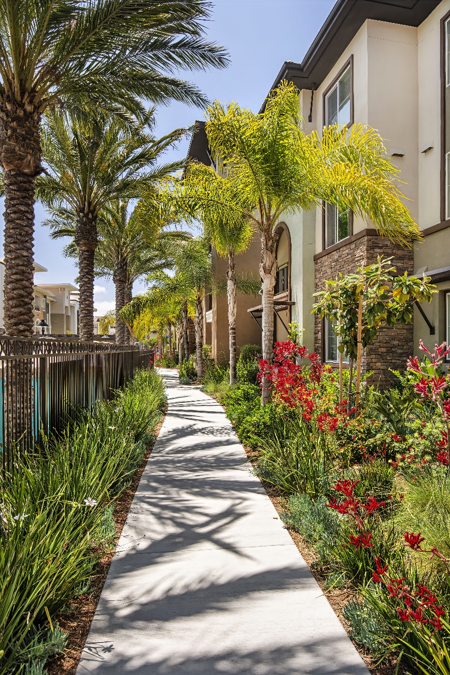 Skye Apartments - Vista, CA | Bemus Landscape - San Clemente, CA