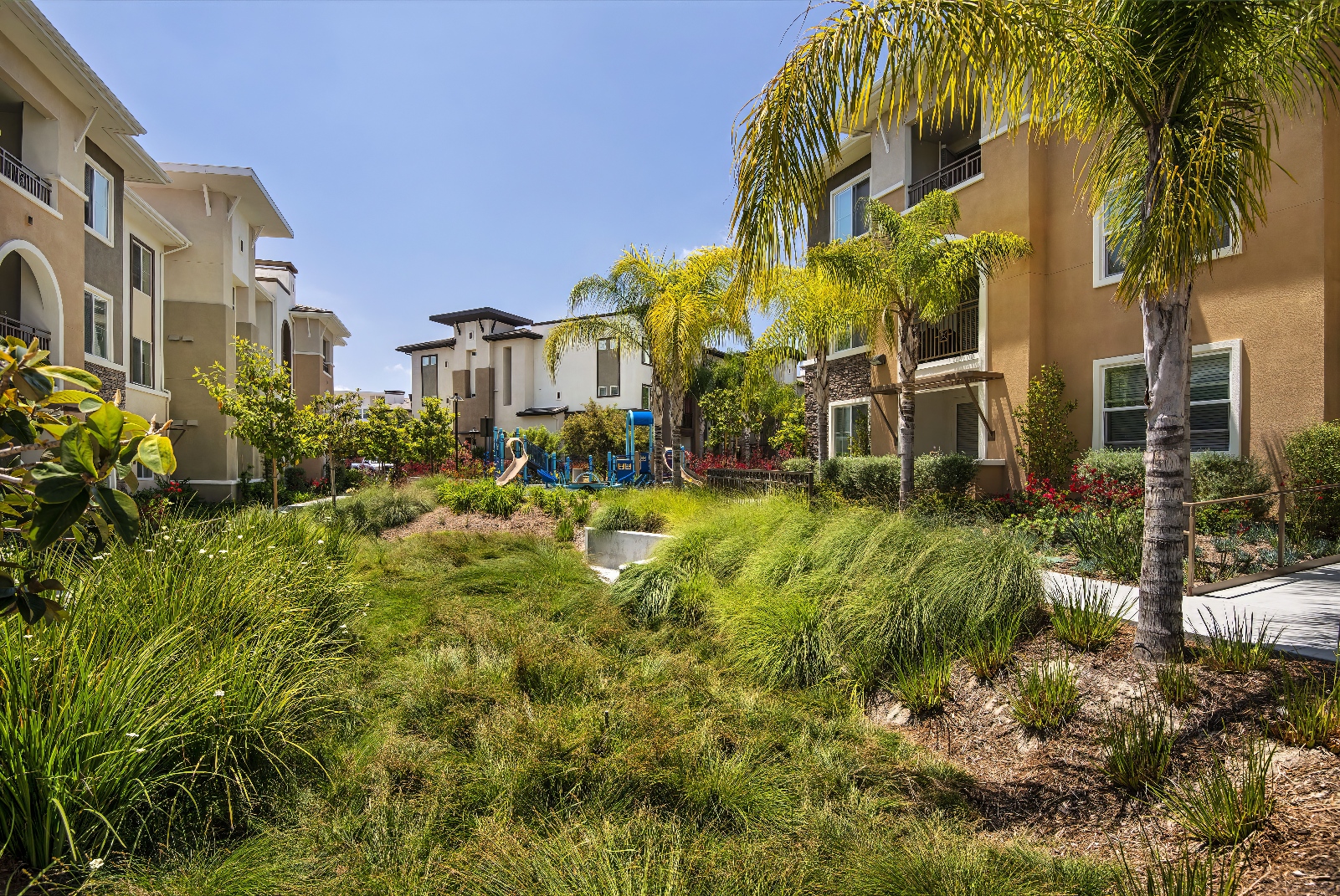 Skye Apartments - Vista, CA | Bemus Landscape - San Clemente, CA