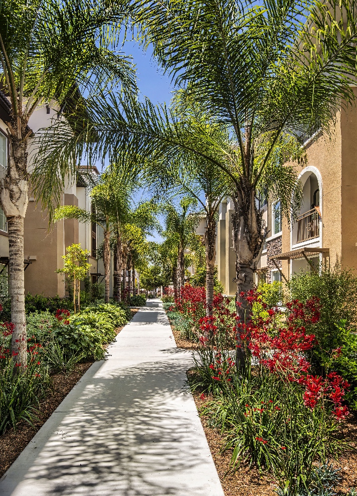 Skye Apartments - Vista, CA | Bemus Landscape - San Clemente, CA
