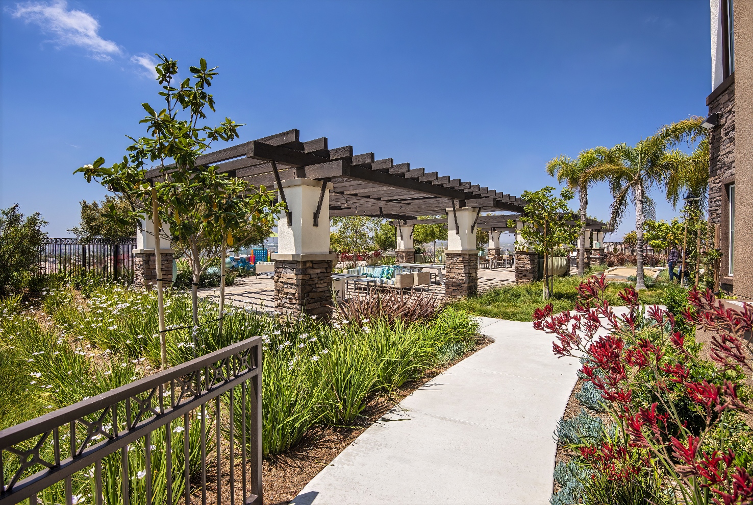 Skye Apartments - Vista, CA | Bemus Landscape - San Clemente, CA