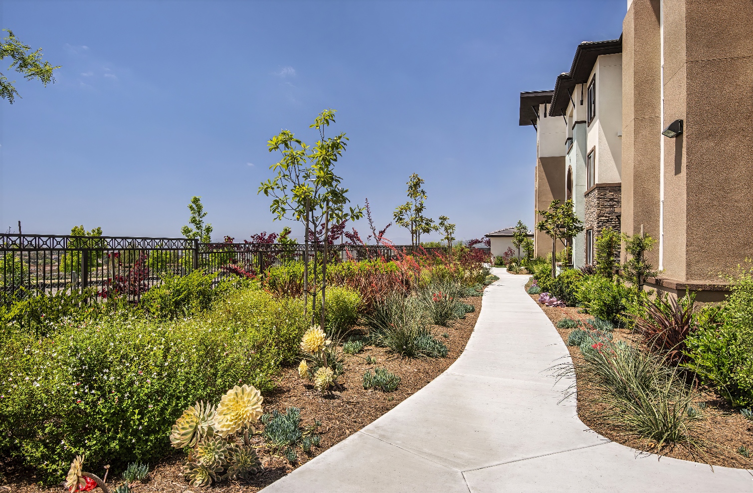 Skye Apartments - Vista, CA | Bemus Landscape - San Clemente, CA