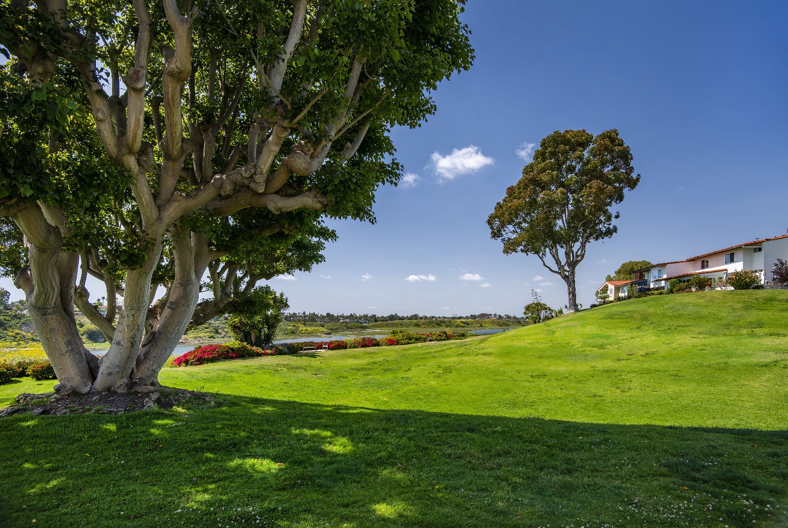 The Bluffs - HOA - A Bemus Landscape project - Bemus Landscape, San Clemente, CA