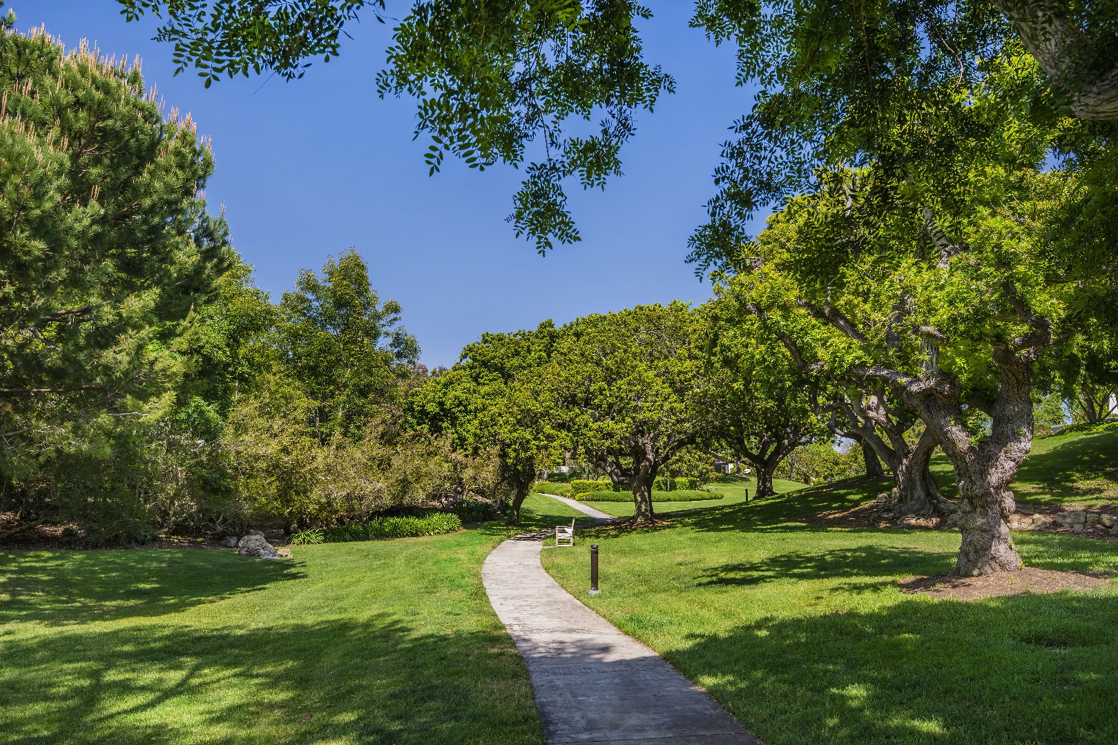 The Bluffs - HOA - A Bemus Landscape project - Bemus Landscape, San Clemente, CA