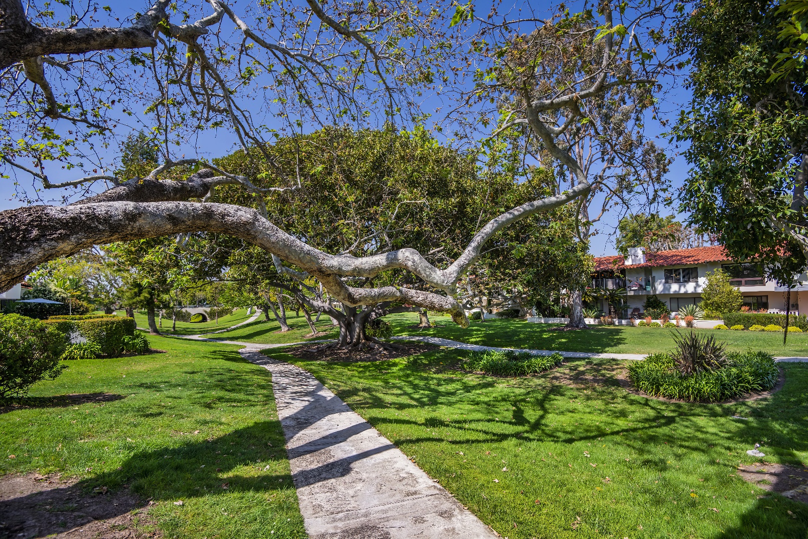 The Bluffs - HOA - A Bemus Landscape project - Bemus Landscape, San Clemente, CA