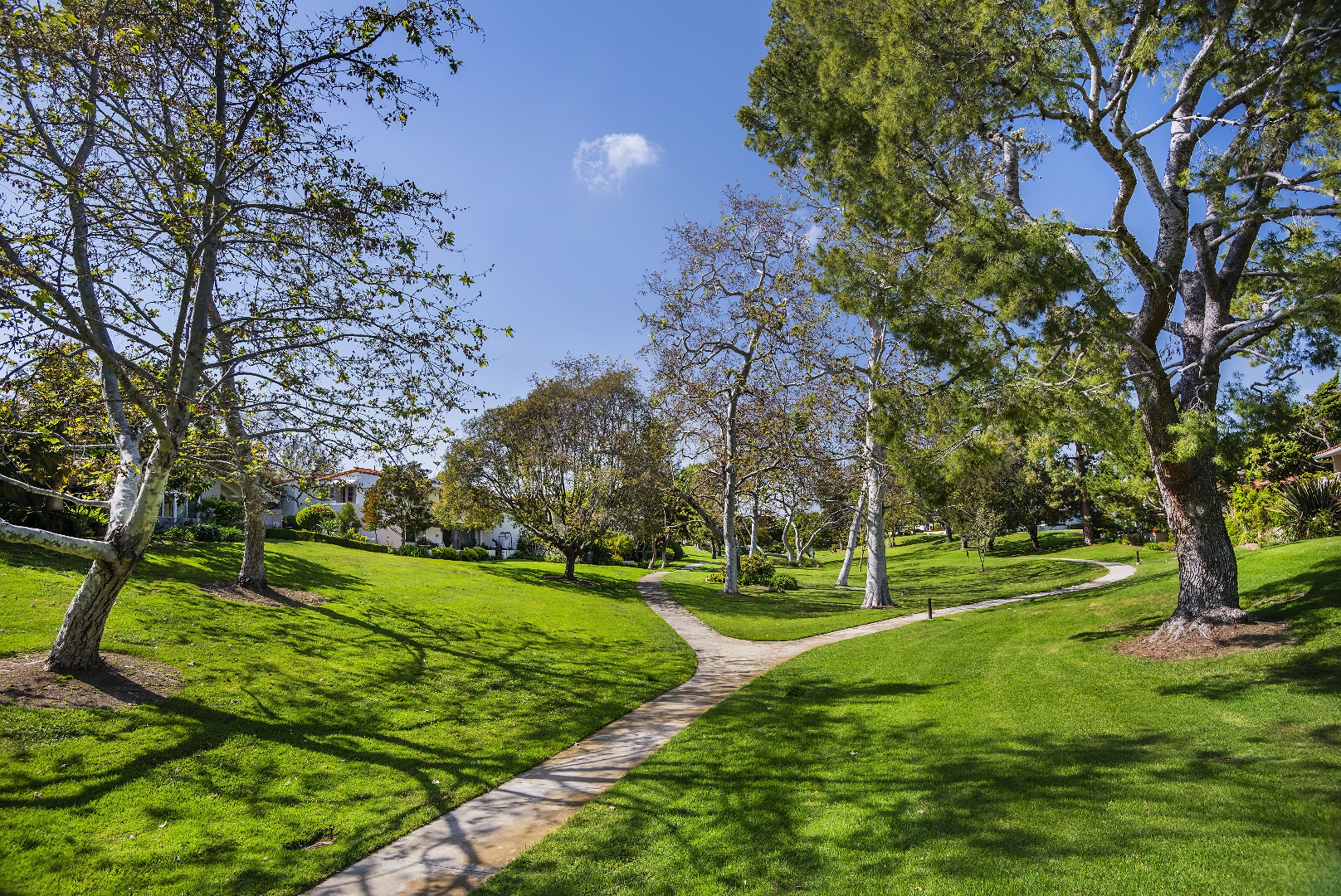 The Bluffs - HOA - A Bemus Landscape project - Bemus Landscape, San Clemente, CA