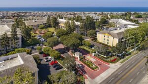 Tree Service - Newport Beach - Orange County, CA | Bemus Landscape