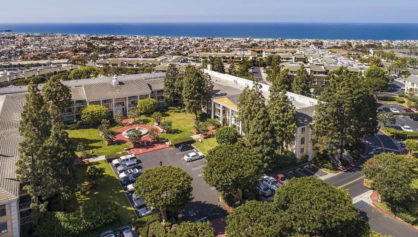 Tree Service - Newport Beach - Orange County, CA | Bemus Landscape