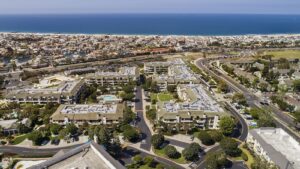 Tree Service - Newport Beach - Orange County, CA | Bemus Landscape