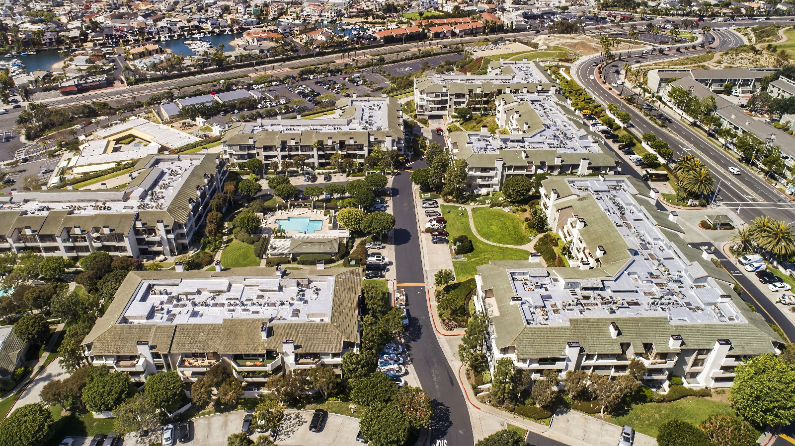 Tree Service - Newport Beach - Orange County, CA | Bemus Landscape