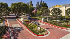 Tree Service - Newport Beach - Orange County, CA | Bemus Landscape