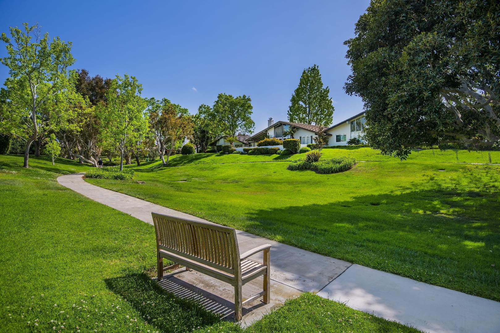 The Bluffs - HOA - A Bemus Landscape project - Bemus Landscape, San Clemente, CA