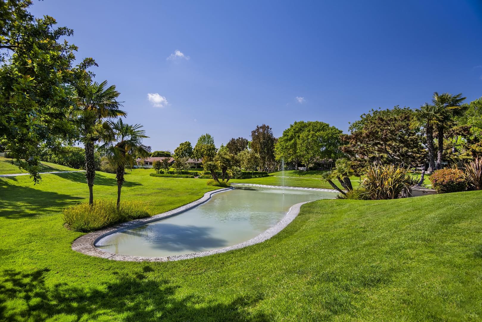 The Bluffs - HOA - A Bemus Landscape project - Bemus Landscape, San Clemente, CA