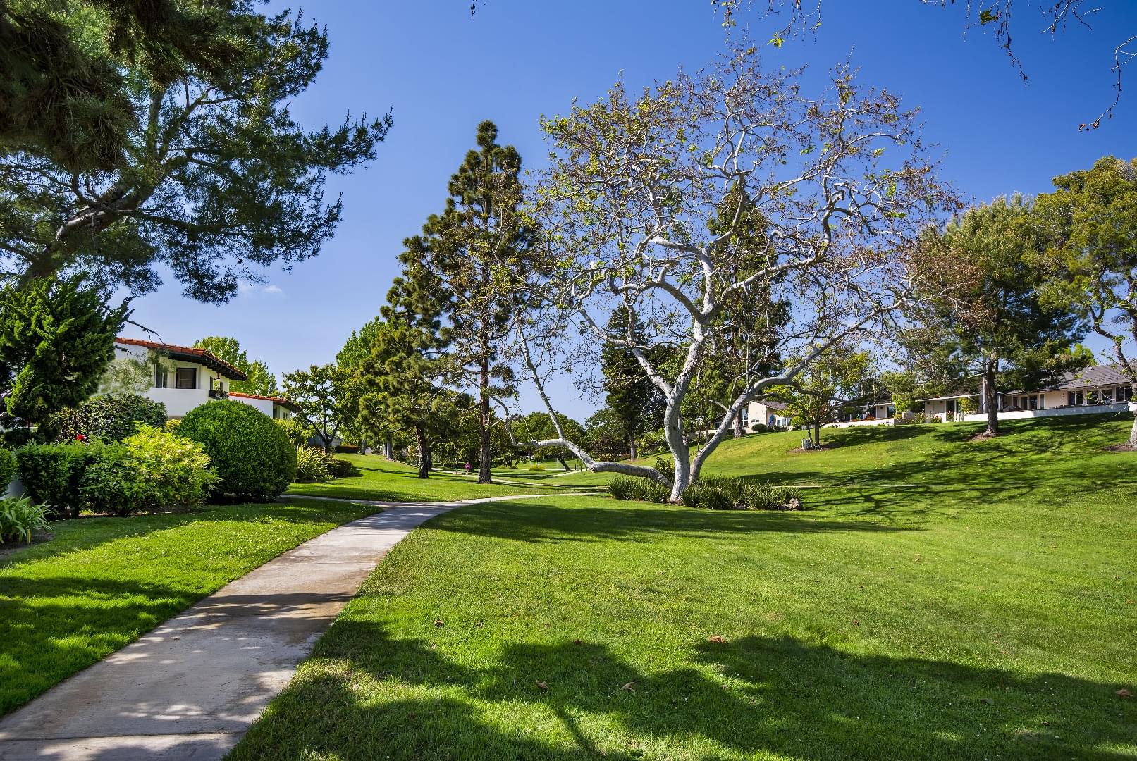 The Bluffs - HOA - A Bemus Landscape project - Bemus Landscape, San Clemente, CA